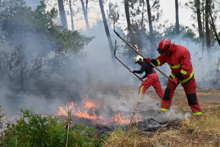 Wildfires in France drive 250,000 people from their homes, creep toward wine city of Bordeaux